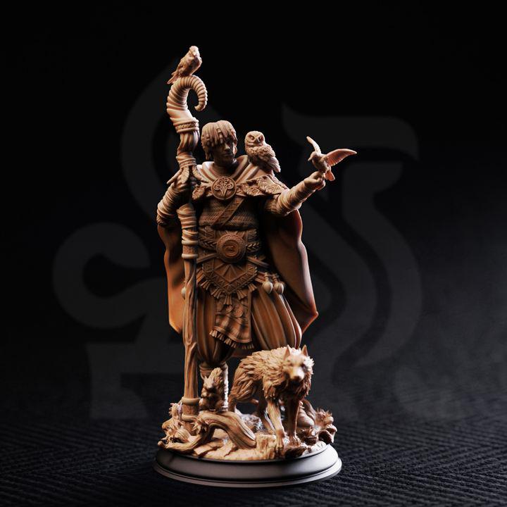 Animal Friend Shaman - Gwambari - DM Stash