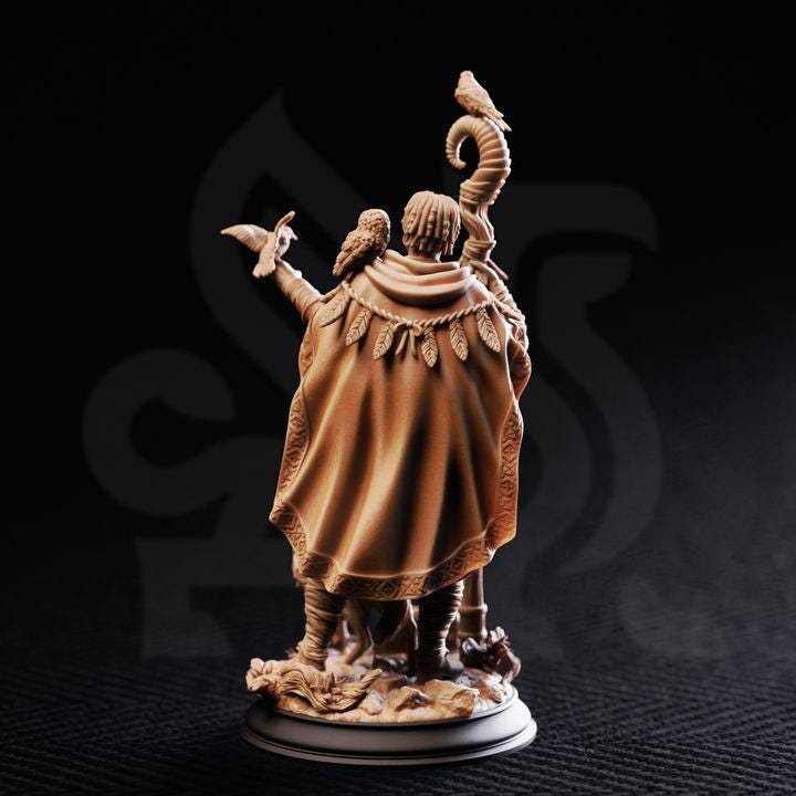 Animal Friend Shaman - Gwambari - DM Stash